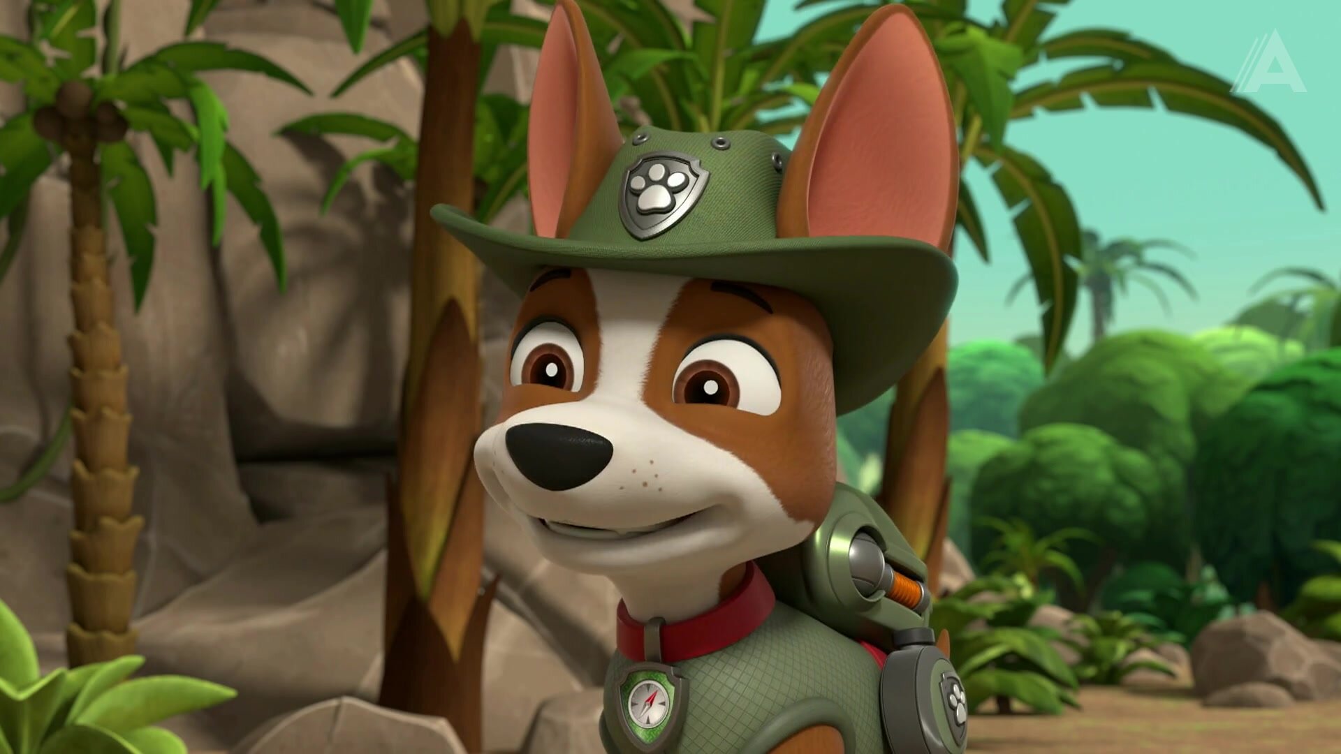 Jungle Pups: Pups Save a Golden Sweetie/Jungle Pups: Pups Save the Ants